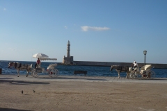 P1060339