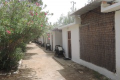 DSCN4423