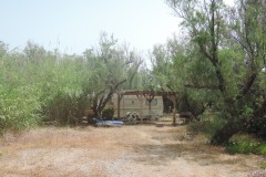 DSCN4425