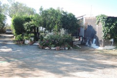 DSCN4986