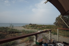DSCN8766