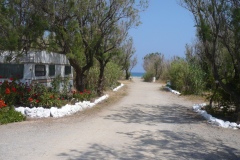 P1050145