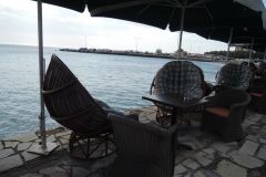 DSCN7391