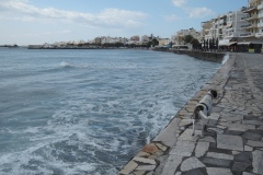DSCN7394