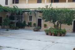 P1020599