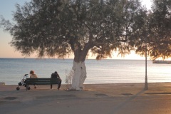 DSCN9525