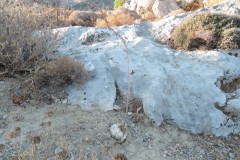 DSCN9576