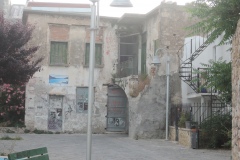 DSCN4455