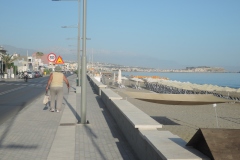 DSCN4471