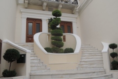 DSCN4688