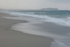 DSCN4776