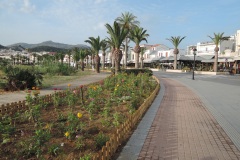 DSCN6328
