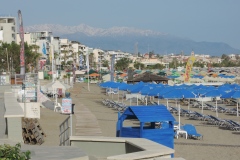 DSCN8565