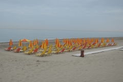 DSCN8694