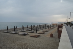 DSCN8805