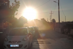DSCN8883