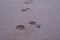 P1060579