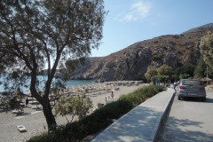 DSCN9781